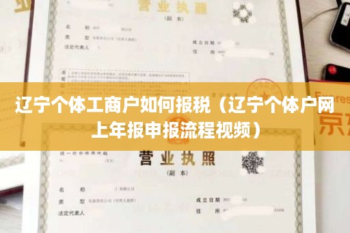 辽宁个体工商户如何报税（辽宁个体户网上年报申报流程视频）