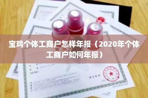 宝鸡个体工商户怎样年报（2020年个体工商户如何年报）