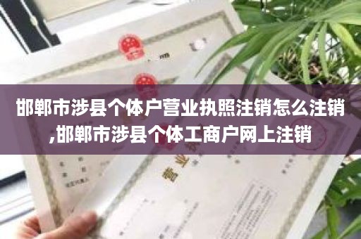 邯郸市涉县个体户营业执照注销怎么注销,邯郸市涉县个体工商户网上注销