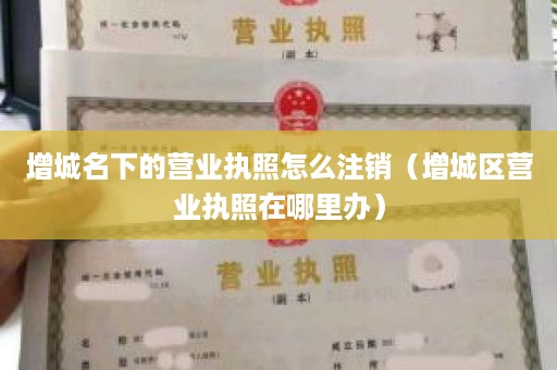 增城名下的营业执照怎么注销（增城区营业执照在哪里办）