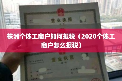 株洲个体工商户如何报税（2020个体工商户怎么报税）