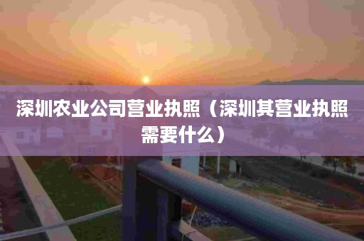 深圳农业公司营业执照（深圳其营业执照需要什么）