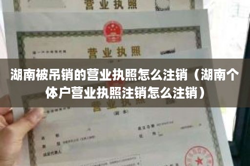 湖南被吊销的营业执照怎么注销（湖南个体户营业执照注销怎么注销）