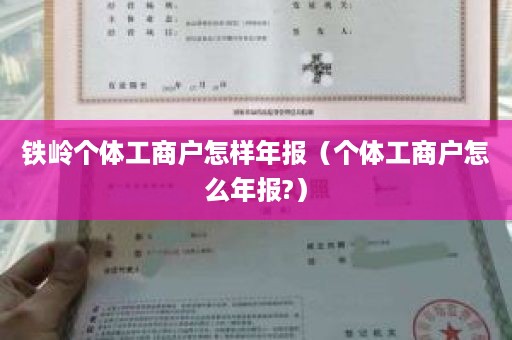 铁岭个体工商户怎样年报（个体工商户怎么年报?）