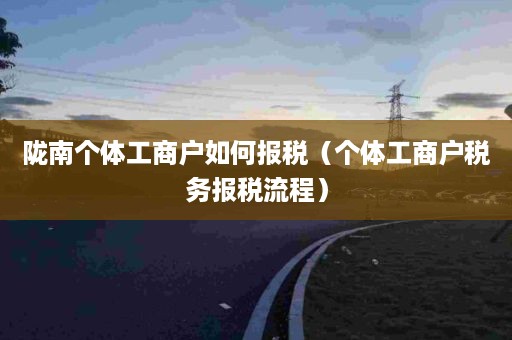 陇南个体工商户如何报税（个体工商户税务报税流程）