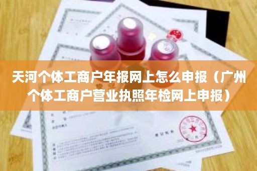 天河个体工商户年报网上怎么申报（广州个体工商户营业执照年检网上申报）