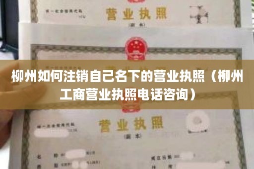 柳州如何注销自己名下的营业执照（柳州工商营业执照电话咨询）