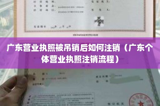 广东营业执照被吊销后如何注销（广东个体营业执照注销流程）