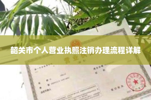 韶关市个人营业执照注销办理流程详解