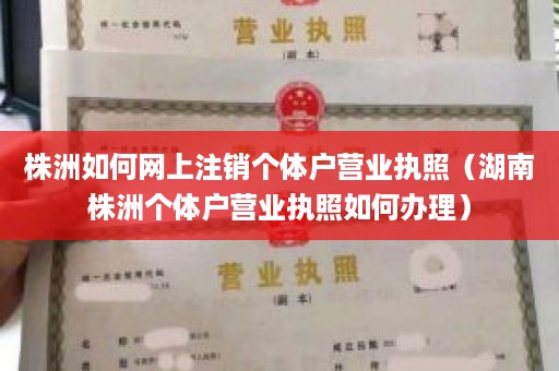 株洲如何网上注销个体户营业执照（湖南株洲个体户营业执照如何办理）