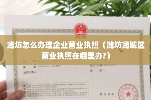 潍坊怎么办理企业营业执照（潍坊潍城区营业执照在哪里办?）