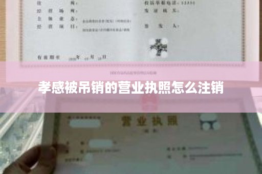 孝感被吊销的营业执照怎么注销