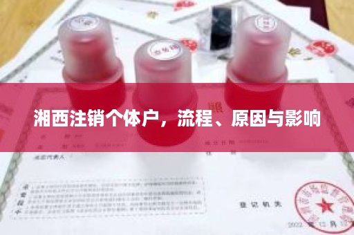 湘西注销个体户，流程、原因与影响