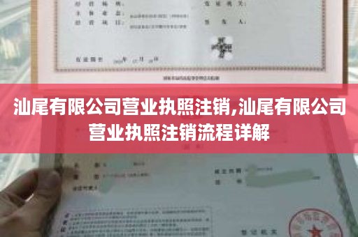 汕尾有限公司营业执照注销,汕尾有限公司营业执照注销流程详解