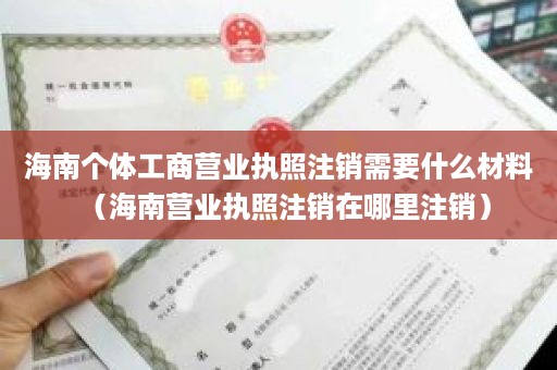 海南个体工商营业执照注销需要什么材料（海南营业执照注销在哪里注销）