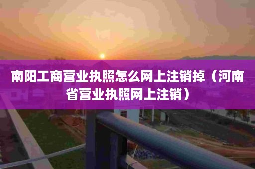 南阳工商营业执照怎么网上注销掉（河南省营业执照网上注销）