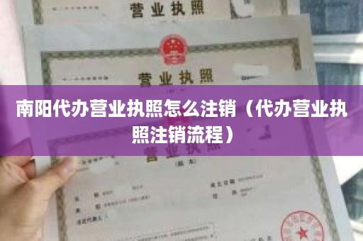 南阳代办营业执照怎么注销（代办营业执照注销流程）