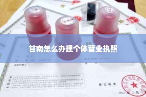 甘南怎么办理个体营业执照