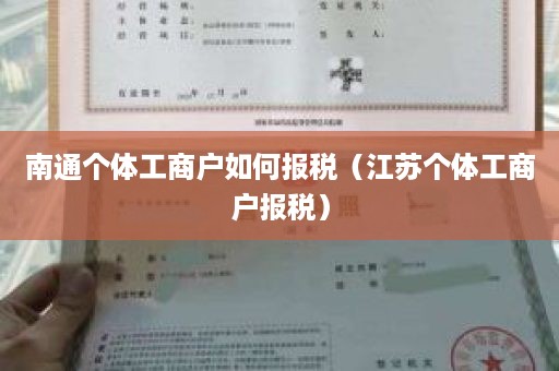 南通个体工商户如何报税（江苏个体工商户报税）