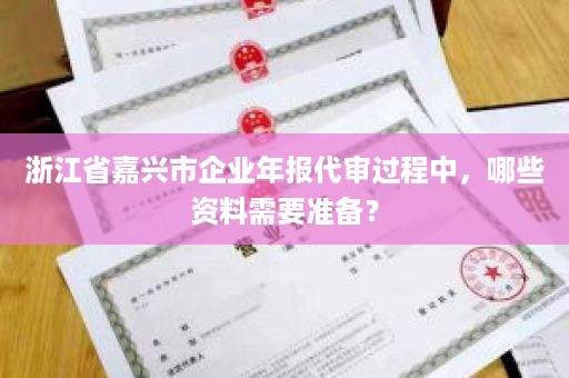 浙江省嘉兴市企业年报代审过程中，哪些资料需要准备？