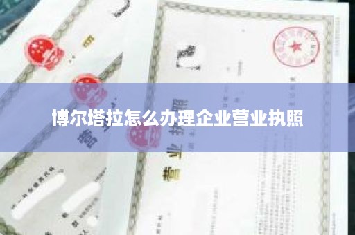 博尔塔拉怎么办理企业营业执照