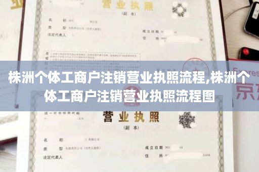 株洲个体工商户注销营业执照流程,株洲个体工商户注销营业执照流程图