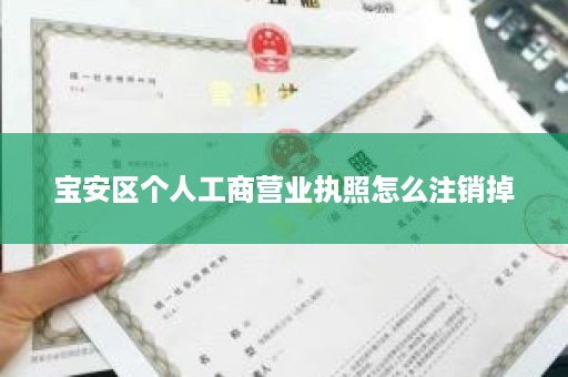 宝安区个人工商营业执照怎么注销掉