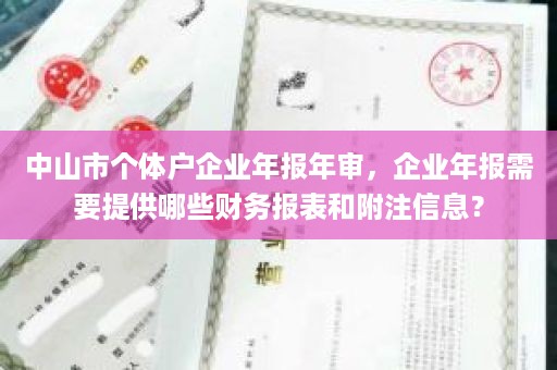 中山市个体户企业年报年审，企业年报需要提供哪些财务报表和附注信息？