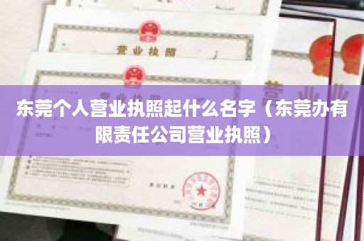 东莞个人营业执照起什么名字（东莞办有限责任公司营业执照）