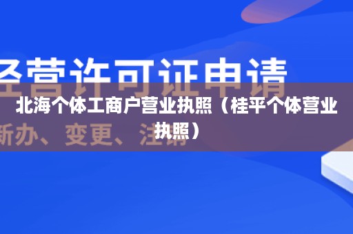 北海个体工商户营业执照（桂平个体营业执照）