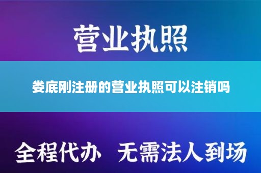 娄底刚注册的营业执照可以注销吗