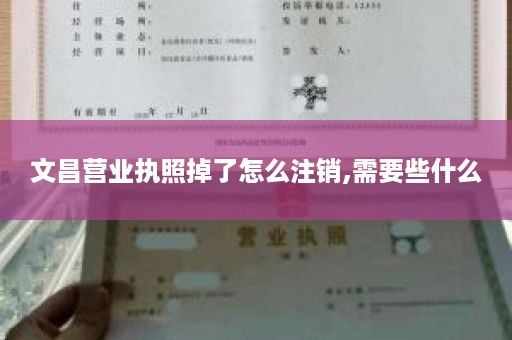 文昌营业执照掉了怎么注销,需要些什么