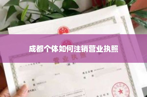 成都个体如何注销营业执照