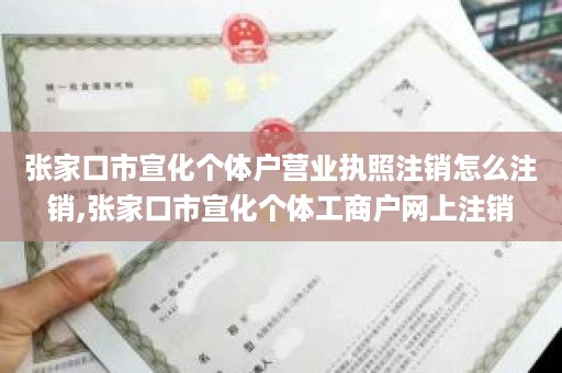 张家口市宣化个体户营业执照注销怎么注销,张家口市宣化个体工商户网上注销