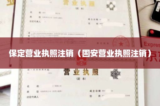 保定营业执照注销（固安营业执照注销）