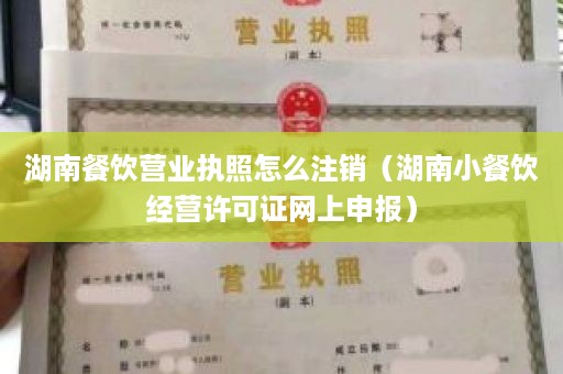 湖南餐饮营业执照怎么注销（湖南小餐饮经营许可证网上申报）