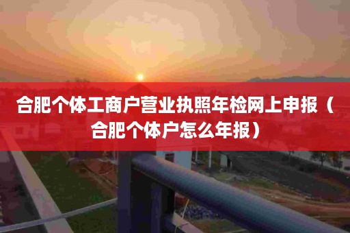 合肥个体工商户营业执照年检网上申报（合肥个体户怎么年报）