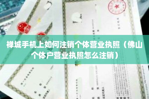 禅城手机上如何注销个体营业执照（佛山个体户营业执照怎么注销）