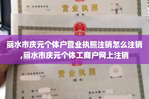 丽水市庆元个体户营业执照注销怎么注销,丽水市庆元个体工商户网上注销