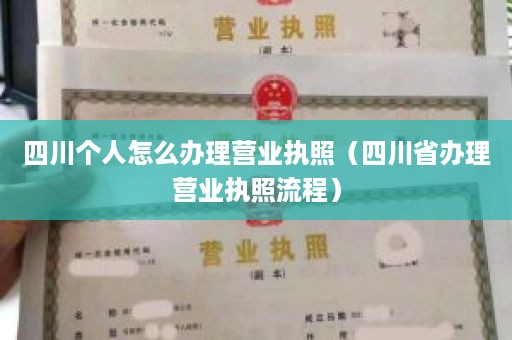 四川个人怎么办理营业执照（四川省办理营业执照流程）