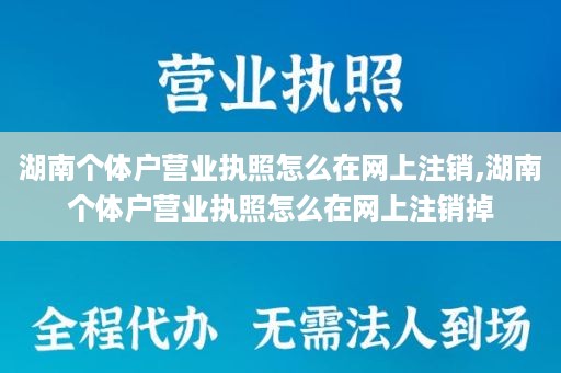 湖南个体户营业执照怎么在网上注销,湖南个体户营业执照怎么在网上注销掉