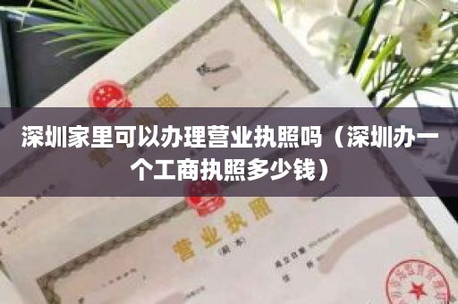 深圳家里可以办理营业执照吗（深圳办一个工商执照多少钱）