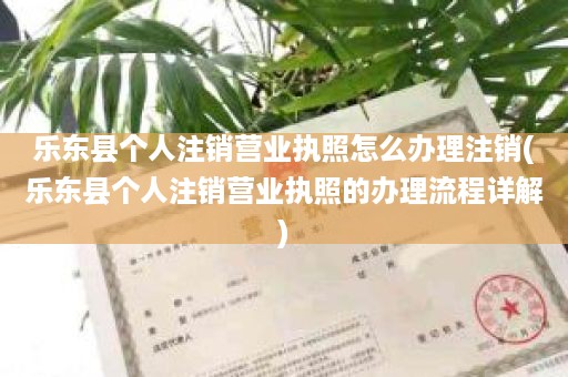 乐东县个人注销营业执照怎么办理注销(乐东县个人注销营业执照的办理流程详解)