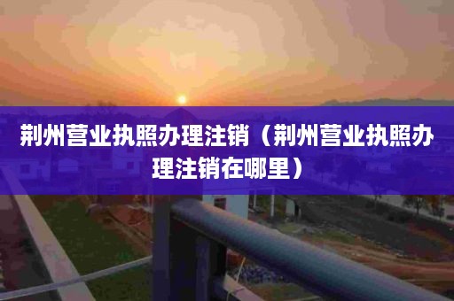 荆州营业执照办理注销（荆州营业执照办理注销在哪里）