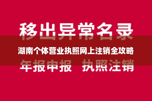 湖南个体营业执照网上注销全攻略