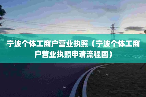 宁波个体工商户营业执照（宁波个体工商户营业执照申请流程图）