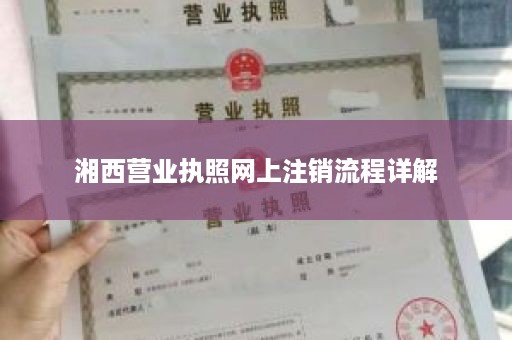 湘西营业执照网上注销流程详解