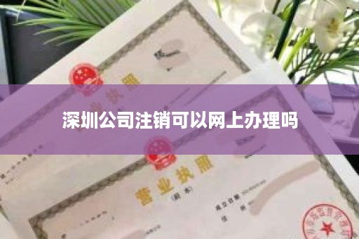 深圳公司注销可以网上办理吗