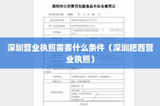 深圳营业执照需要什么条件（深圳肥西营业执照）
