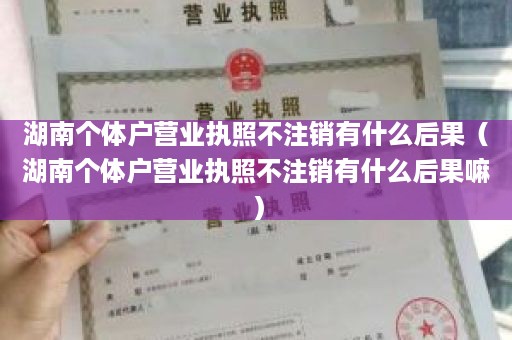 湖南个体户营业执照不注销有什么后果（湖南个体户营业执照不注销有什么后果嘛）